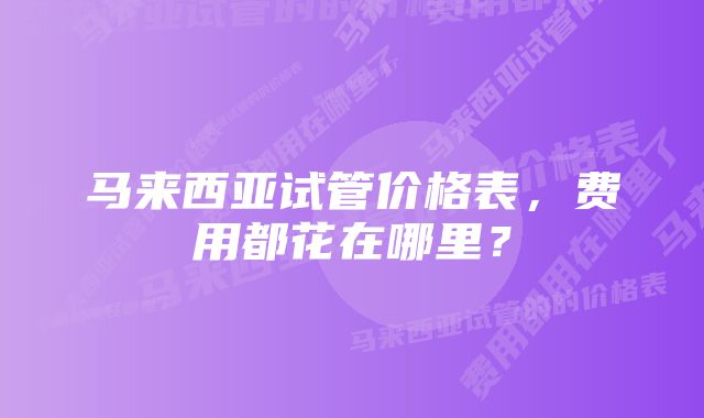 马来西亚试管价格表，费用都花在哪里？