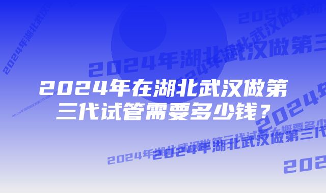 2024年在湖北武汉做第三代试管需要多少钱？