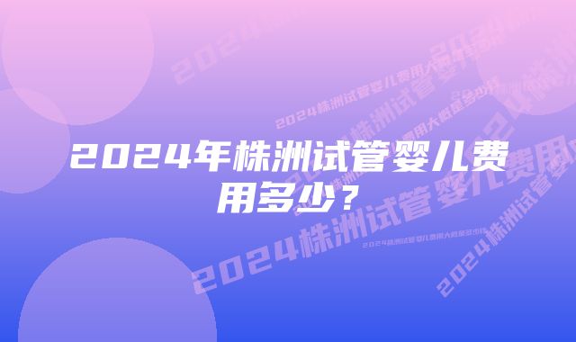 2024年株洲试管婴儿费用多少？