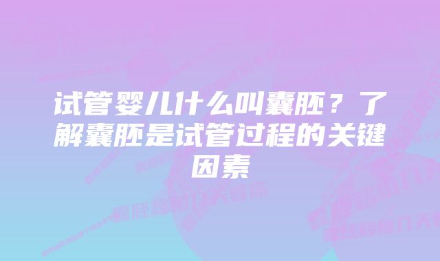 试管婴儿什么叫囊胚？了解囊胚是试管过程的关键因素