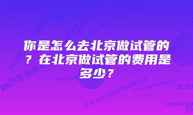 你是怎么去北京做试管的？在北京做试管的费用是多少？