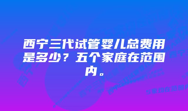 西宁三代试管婴儿总费用是多少？五个家庭在范围内。