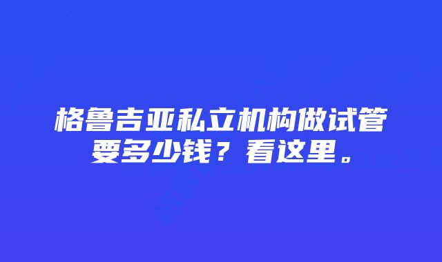 格鲁吉亚私立机构做试管要多少钱？看这里。