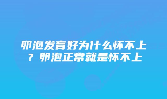 卵泡发育好为什么怀不上？卵泡正常就是怀不上