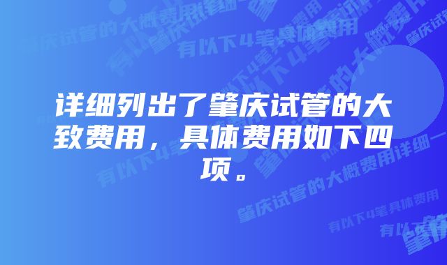 详细列出了肇庆试管的大致费用，具体费用如下四项。