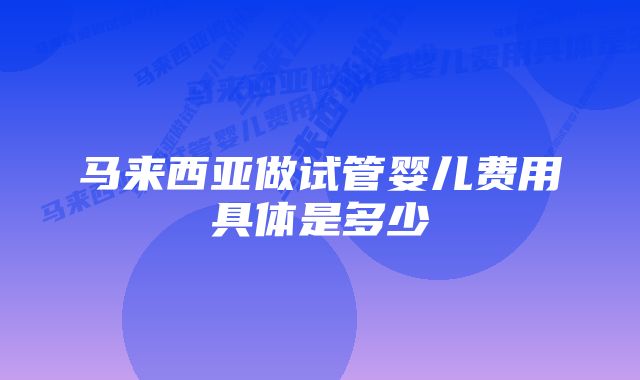 马来西亚做试管婴儿费用具体是多少