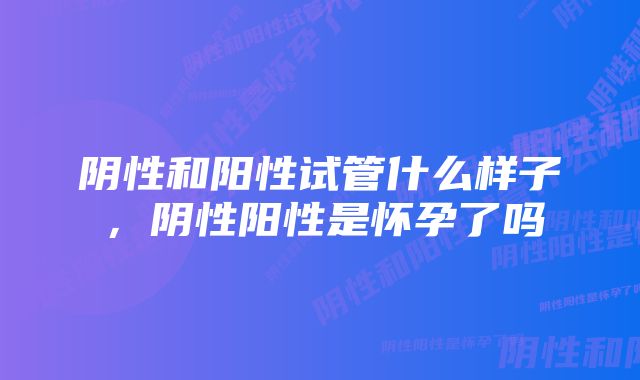 阴性和阳性试管什么样子，阴性阳性是怀孕了吗