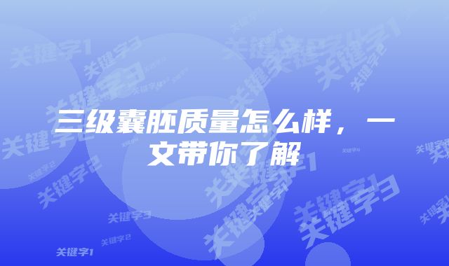 三级囊胚质量怎么样，一文带你了解