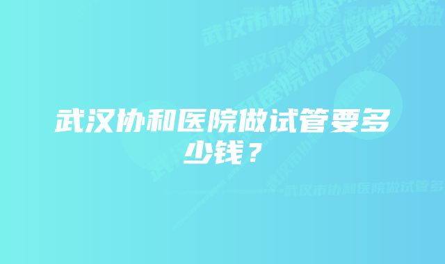 武汉协和医院做试管要多少钱？