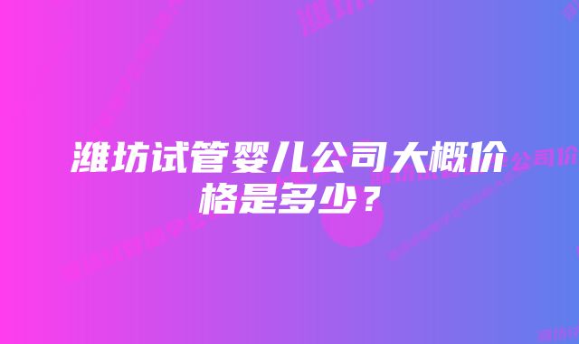 潍坊试管婴儿公司大概价格是多少？