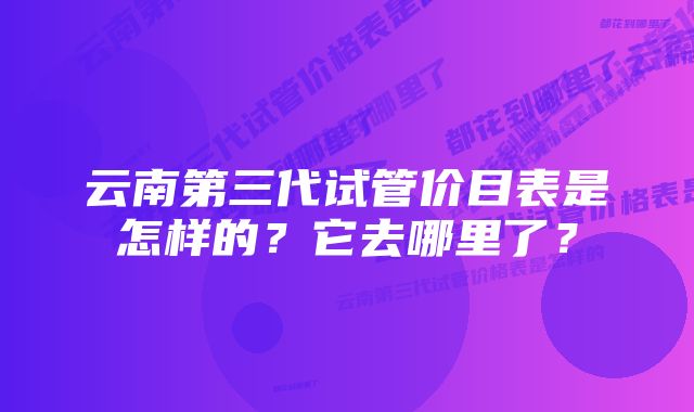 云南第三代试管价目表是怎样的？它去哪里了？