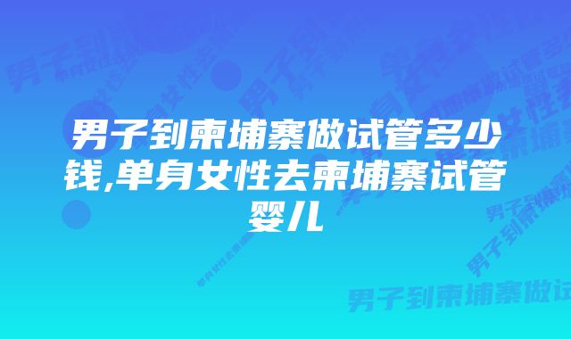 男子到柬埔寨做试管多少钱,单身女性去柬埔寨试管婴儿