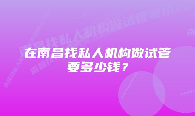 在南昌找私人机构做试管要多少钱？