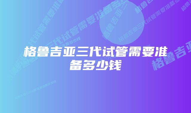 格鲁吉亚三代试管需要准备多少钱