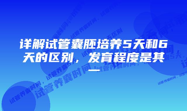 详解试管囊胚培养5天和6天的区别，发育程度是其一