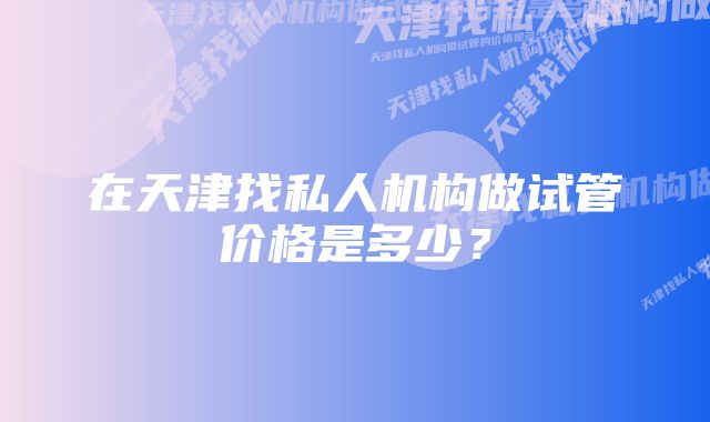 在天津找私人机构做试管价格是多少？