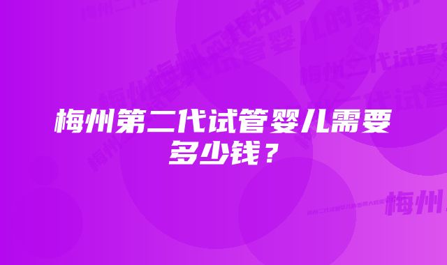 梅州第二代试管婴儿需要多少钱？