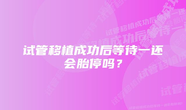 试管移植成功后等待一还会胎停吗？