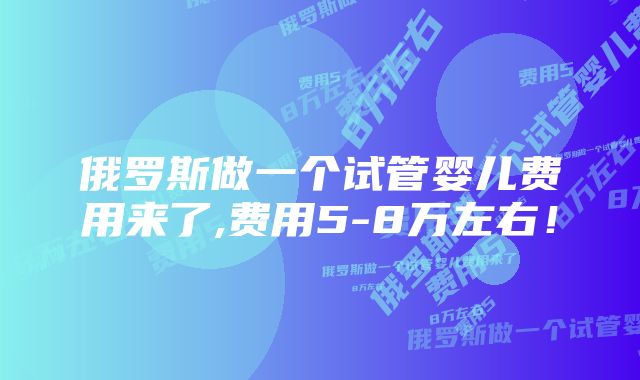 俄罗斯做一个试管婴儿费用来了,费用5-8万左右！