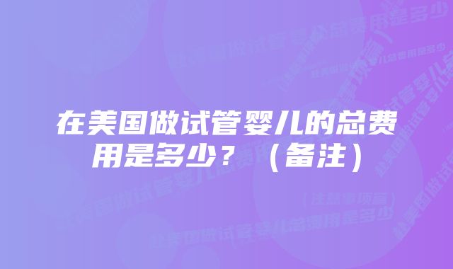 在美国做试管婴儿的总费用是多少？（备注）