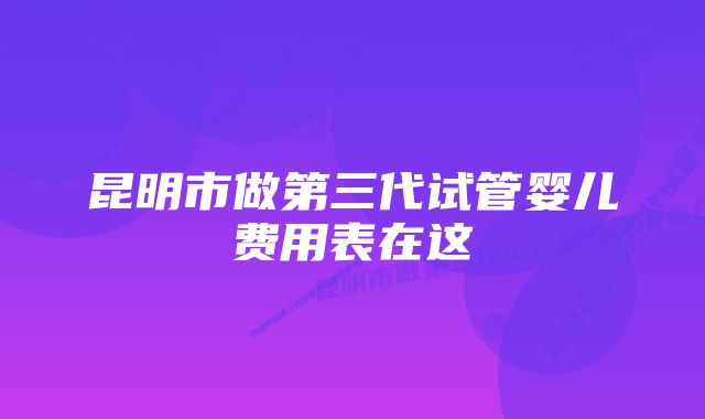 昆明市做第三代试管婴儿费用表在这