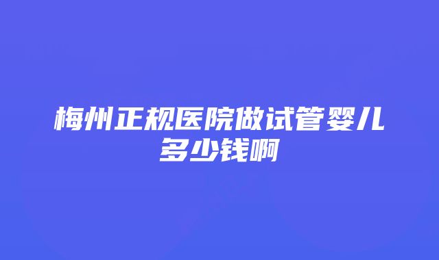 梅州正规医院做试管婴儿多少钱啊