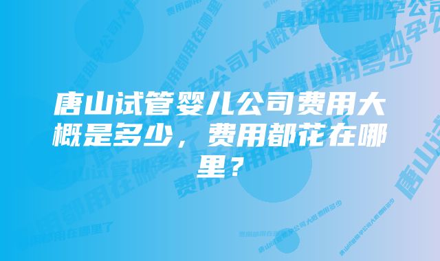 唐山试管婴儿公司费用大概是多少，费用都花在哪里？