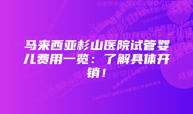 马来西亚杉山医院试管婴儿费用一览：了解具体开销！