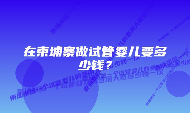 在柬埔寨做试管婴儿要多少钱？