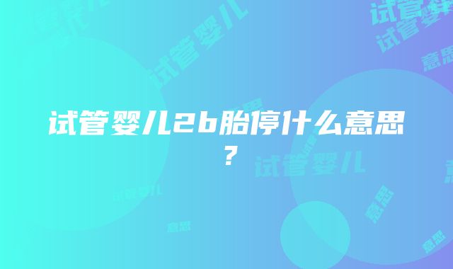 试管婴儿2b胎停什么意思？