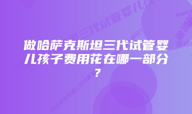 做哈萨克斯坦三代试管婴儿孩子费用花在哪一部分？