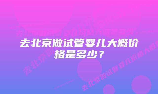 去北京做试管婴儿大概价格是多少？