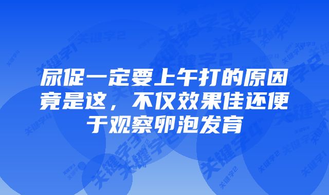 尿促一定要上午打的原因竟是这，不仅效果佳还便于观察卵泡发育