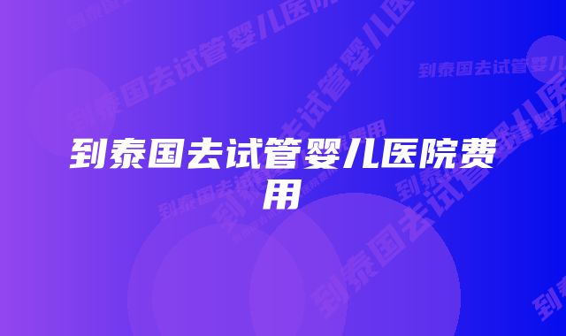 到泰国去试管婴儿医院费用