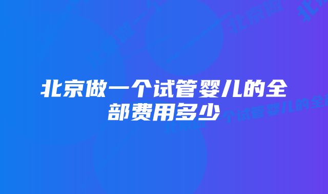 北京做一个试管婴儿的全部费用多少