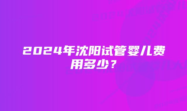 2024年沈阳试管婴儿费用多少？