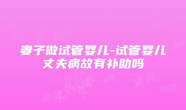 妻子做试管婴儿-试管婴儿丈夫病故有补助吗