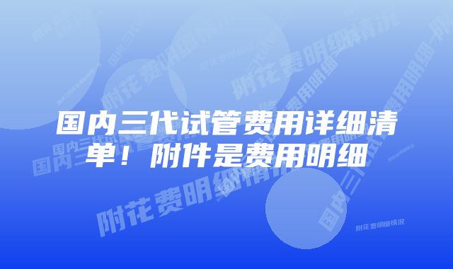 国内三代试管费用详细清单！附件是费用明细