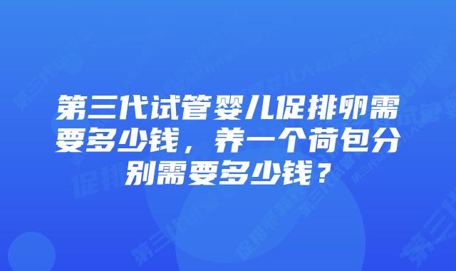 第三代试管婴儿促排卵需要多少钱，养一个荷包分别需要多少钱？