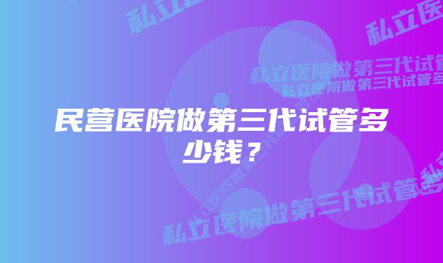 民营医院做第三代试管多少钱？