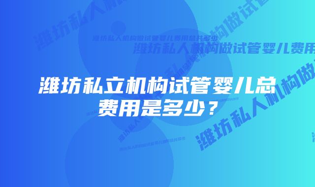 潍坊私立机构试管婴儿总费用是多少？