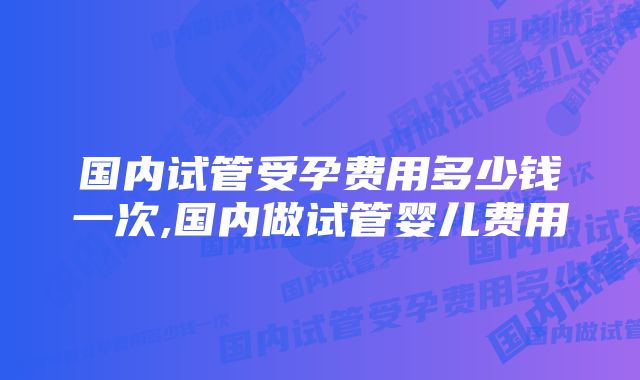 国内试管受孕费用多少钱一次,国内做试管婴儿费用