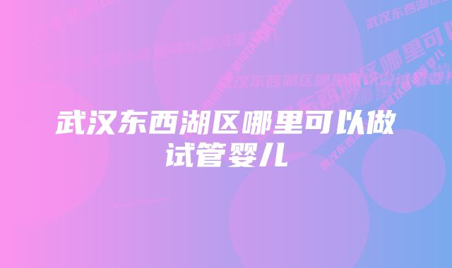 武汉东西湖区哪里可以做试管婴儿