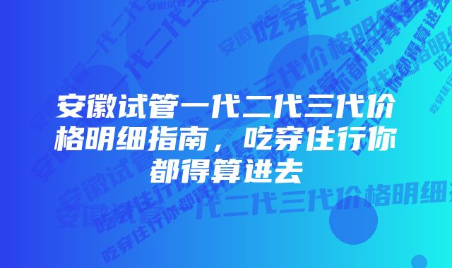 安徽试管一代二代三代价格明细指南，吃穿住行你都得算进去