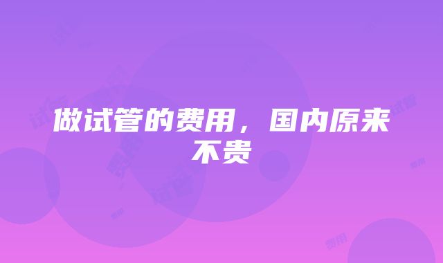 做试管的费用，国内原来不贵