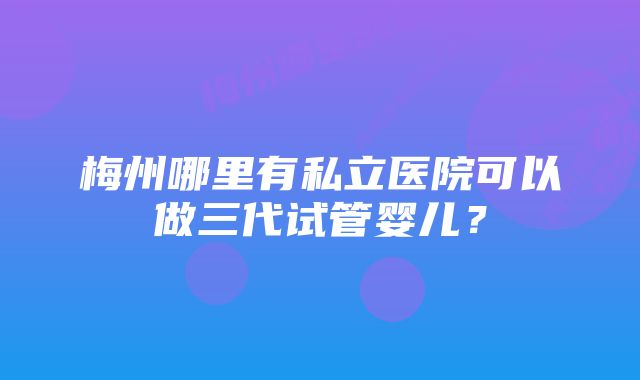 梅州哪里有私立医院可以做三代试管婴儿？