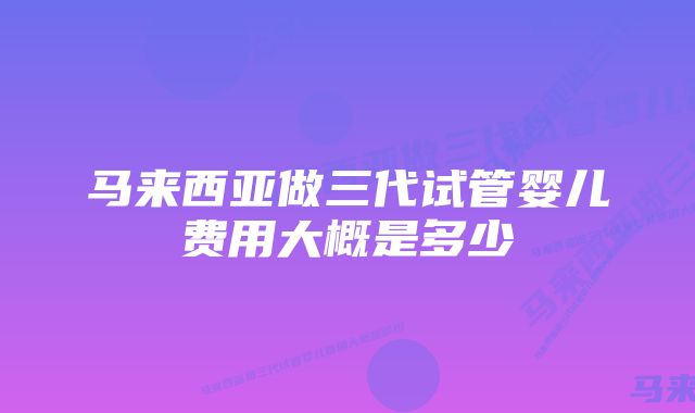 马来西亚做三代试管婴儿费用大概是多少