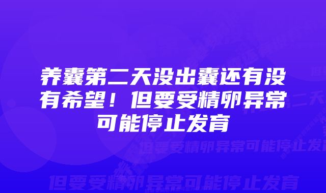 养囊第二天没出囊还有没有希望！但要受精卵异常可能停止发育