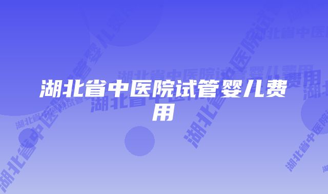 湖北省中医院试管婴儿费用