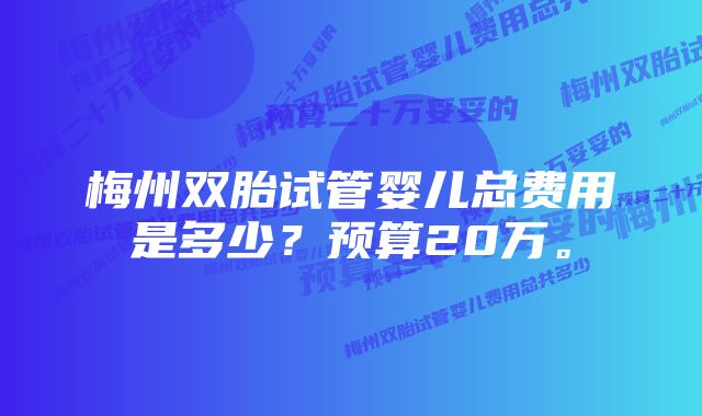 梅州双胎试管婴儿总费用是多少？预算20万。